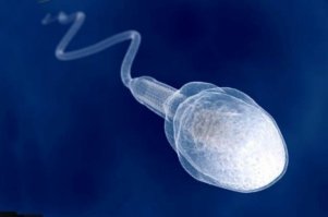 Китайскую полицию высмеяли за использование детской фотографии преступника