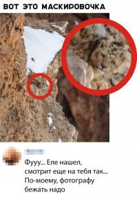Вот, по-крупнее изображение... Или это опять воображение?
