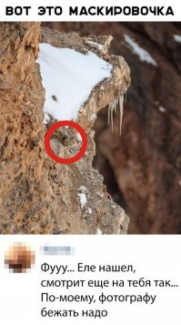 Я думал это шутка, но нет - бежать уже поздно, ОН тебя заметил!
