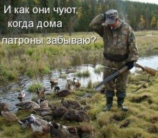 А вы любите кормить уток?