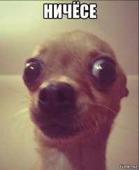 20 странных законов о сексе