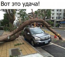20+ баловней судьбы, точно родившихся "в рубашке"