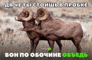Джипер наказывает обочечников, с помощью своего переднего бампера