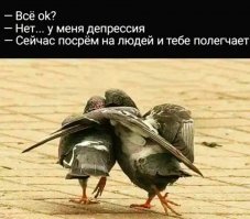 Эти животные научат быть хорошими родителями