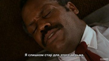 В Англии невозмутимый пёс почти никак не отреагировал на приземлившегося рядом с ним велосипедиста