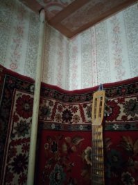 Я в тренде!