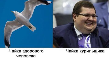 Игорю Чайке разрешили диктовать любую цену за вывоз мусора