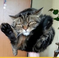 колобочек-клубочек :)