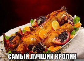 Жутковатые пасхальные кролики, от которых лучше держаться подальше