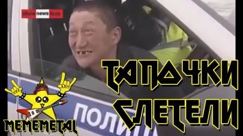 В Англии невозмутимый пёс почти никак не отреагировал на приземлившегося рядом с ним велосипедиста