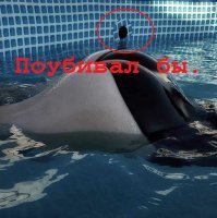 Маскировка божественного уровня