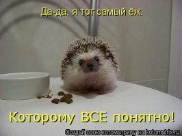 Почему мы так говорим? Истории происхождения животных фразеологизмов