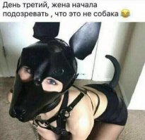Маскировка божественного уровня