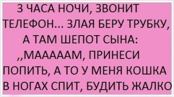 Прикольные и смешные картинки