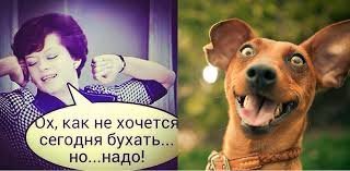 Алкопост на вечер этой пятницы