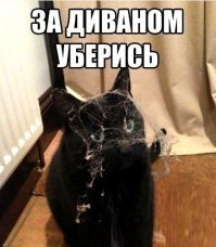 24 жизненных мема про уборку, после которых руки потянутся к швабре