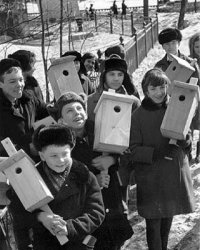 Юннаты.