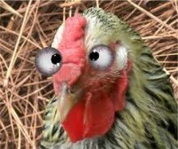 Вылезла без настроения: девушка отвлеклась и устроила ДТП