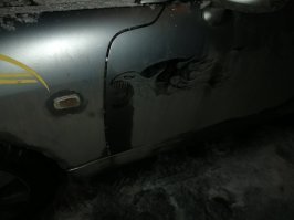 Я у себя в округе вот такую видел ))) Маленькая злюка.