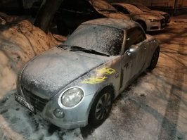 Я у себя в округе вот такую видел ))) Маленькая злюка.
