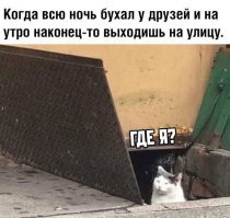 Напомнило. Сори