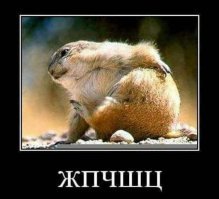 Для утреннего настроения