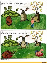 Осёл Деррик метит в Книгу Гиннесса. Копытный вырос в гиганта!