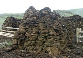 Потом кирпичики укладывают ровными рядами. И кизяк готов к транспортировке и употреблению. Конечно, самый тяжкий труд ложится на хрупкие крупы животных. 

Я чё та не увидел хрупкие крупы животных.С хрупкими задницами такие кучи не навалишь. Автор ты явно там ни когда не был,потому что там очень много красивых мест и вся природа обалденная. А ты показываешь только облезлые степи.