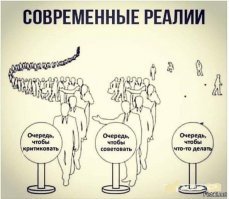 Подруги-пенсионерки ловят "черных лесорубов"