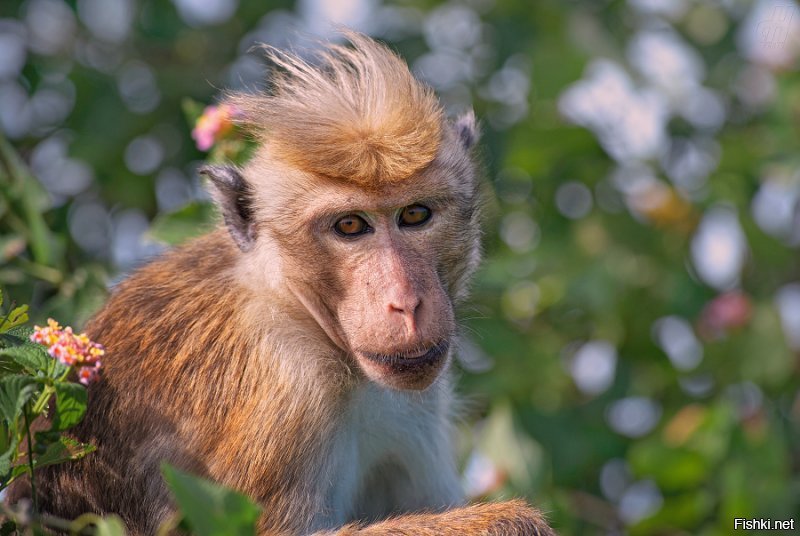 20 стрижек и причесок для парней, которым захотелось стать звездой "на раёне"