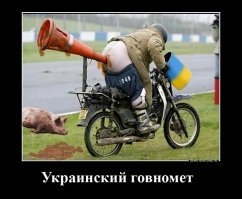 Год спустя глава Роскомнадзора признался, что блокировка Telegram обернулась провалом