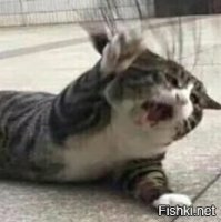 Всё мозг сломан!!!