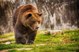 От всех не получится... Придется с местной прокуратурой договариваться...
