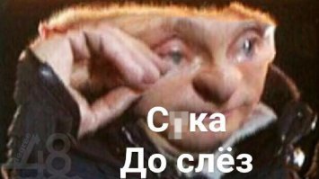 Кот и маленький щенок