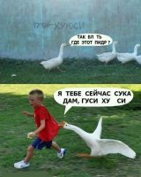 Картинки с надписями