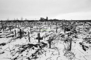 Вот его "богатства"
По сей день безымянные стоят.