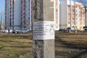 Где в центре сделана эта фотография?