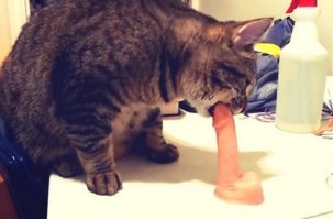 Вот жизнь без мужиков