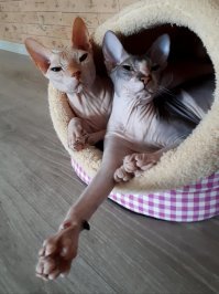 Прикольные и смешные картинки