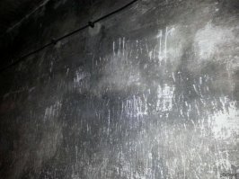 "царапины в газовой камере"
Всегда хотел спросить: 
- А где кровь???