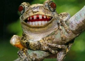 Дети три дня спали в одной комнате с диким животным