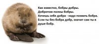 Прикольные и смешные картинки