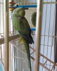 У меня не кот, но позы для сна тоже интересные бывают)