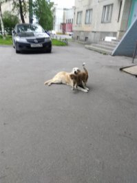 Внимание: чрезмерно хвостатый пост!