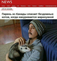 Дети три дня спали в одной комнате с диким животным