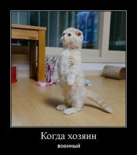 Внимание: чрезмерно хвостатый пост!