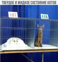 Внимание: чрезмерно хвостатый пост!