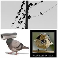 Намешалось