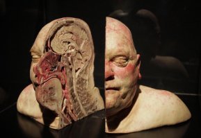 22 знакомых предмета, которые оказались неожиданно красивы изнутри