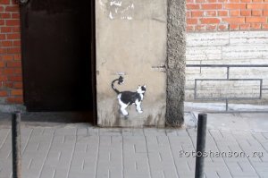 Где в центре сделана эта фотография??